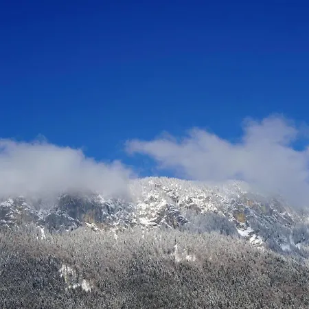 Bruni Bock 伊特尔