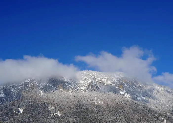 Bruni Bock 伊特尔